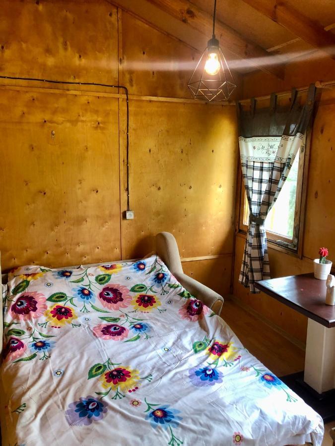 Kaszubski Loft Z Wlasnym Stawem Rybnym Żukowo Exteriér fotografie